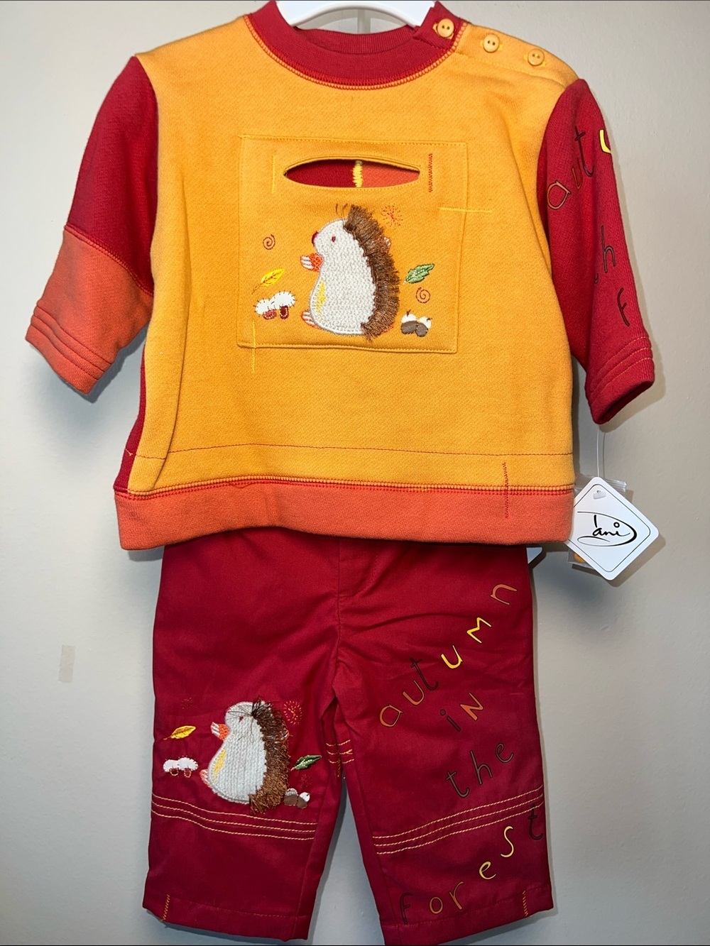 VTG Kids Autumn 2 piece Set - Brillant Red & Orange with fine Hedgehog applique.